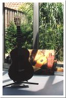 gitaar2.jpg