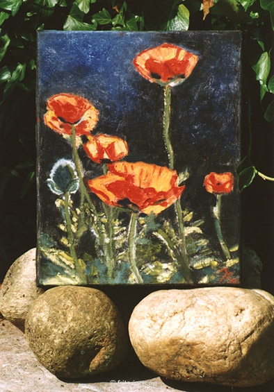 papavers_2002.jpg