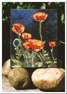 papavers_2002.jpg