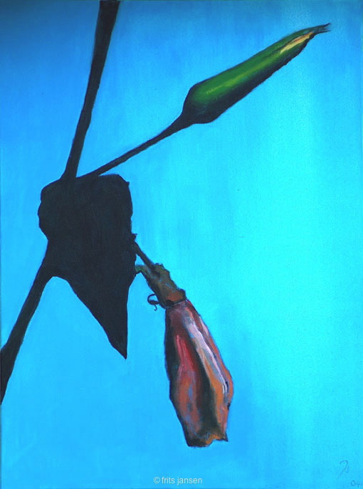 iedereavondweer 60x80 kopi.jpg