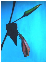 iedereavondweer 60x80 kopi.jpg