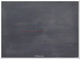 destreepisgetrokken 60x80.jpg